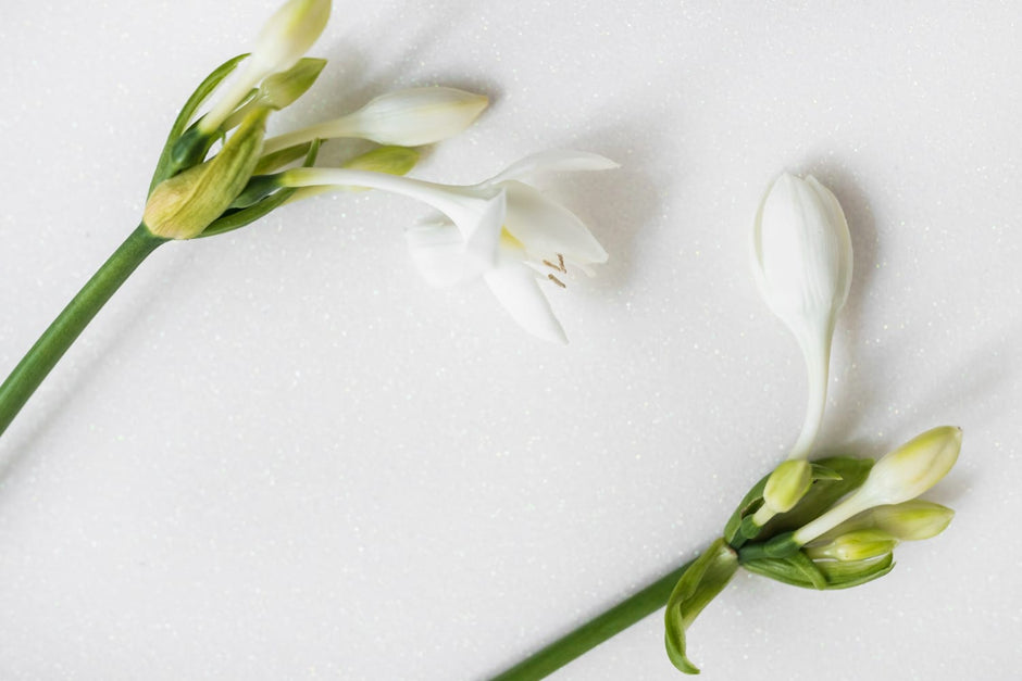 Parfum tuberoze – parfum profund și cu mult simbolism în spate